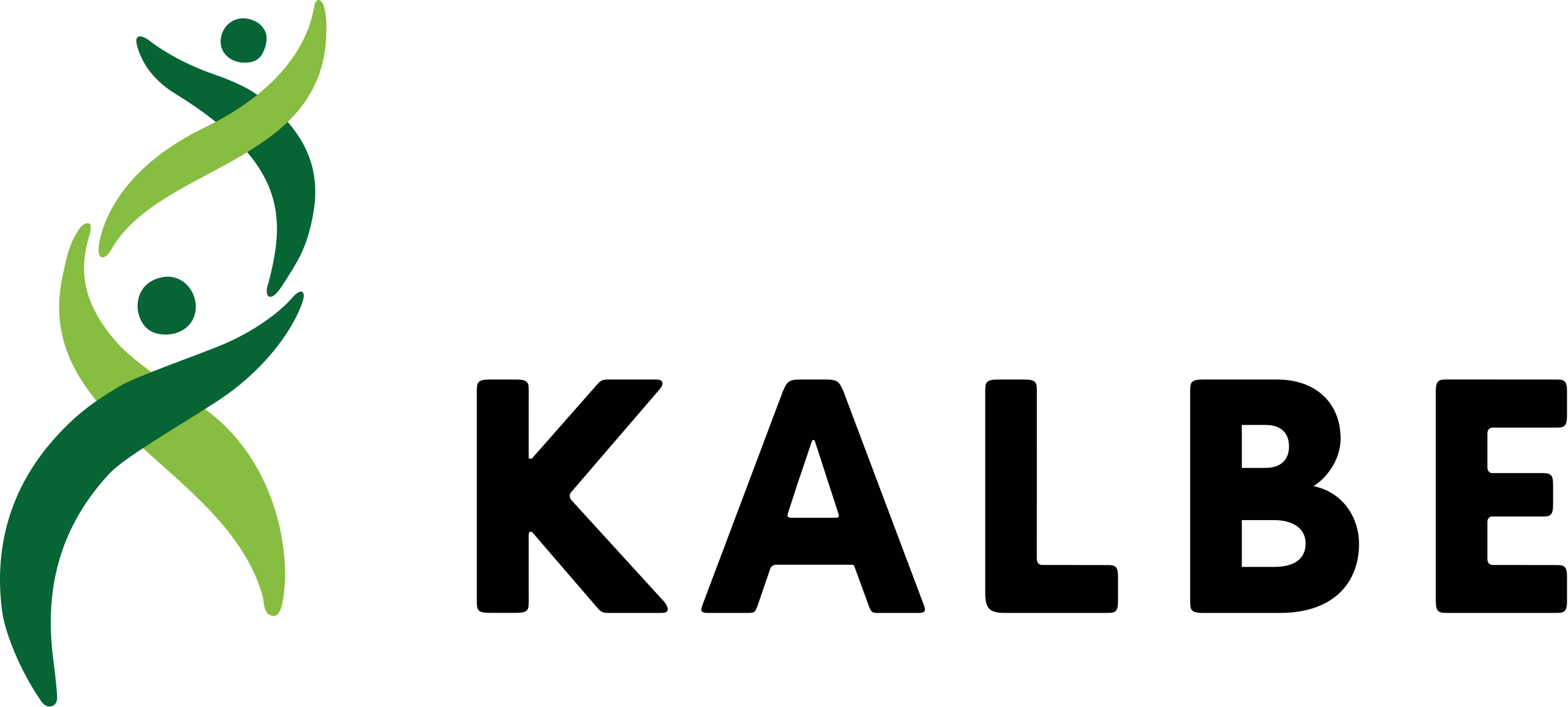 PT KALBE.png